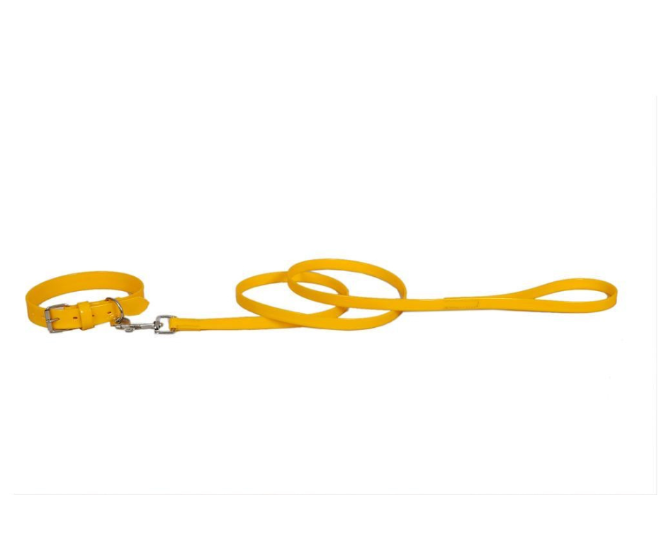 Hundeleine und Halsband "Sunny Yellow"