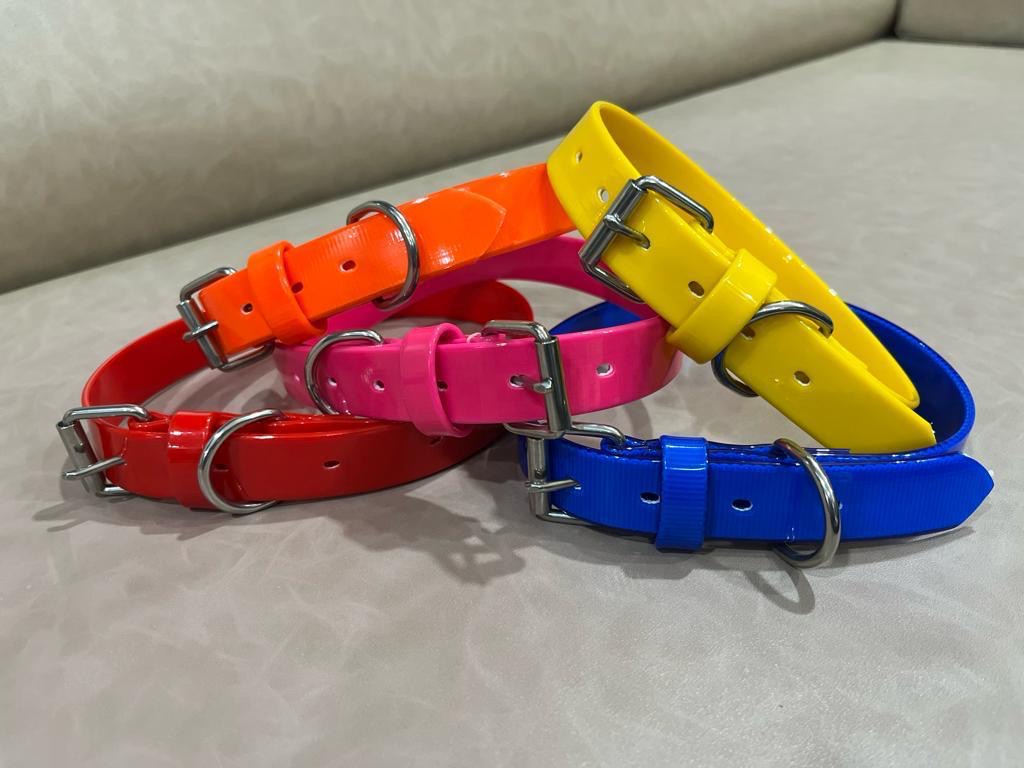 Hundeleine und Halsband "Sunny Yellow"