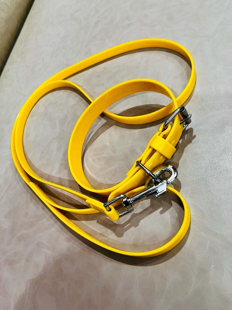 Hundeleine und Halsband "Sunny Yellow"