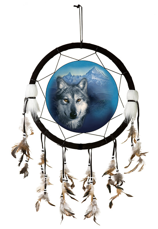 Mountain Wolf