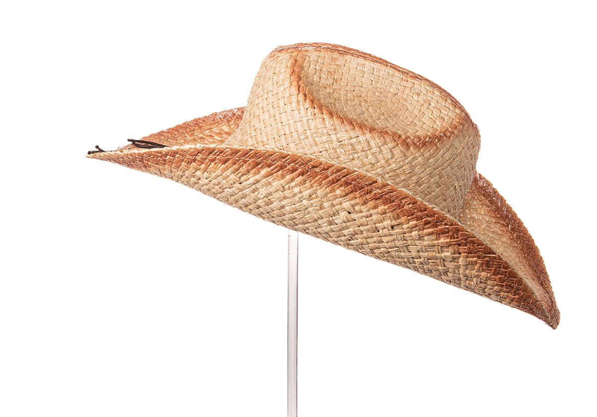 Alamo Summer