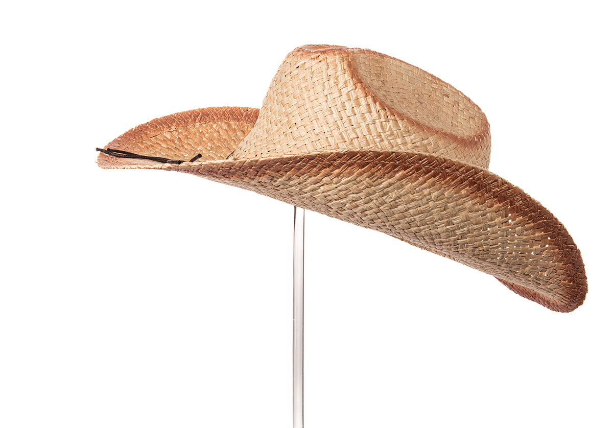 Alamo Summer