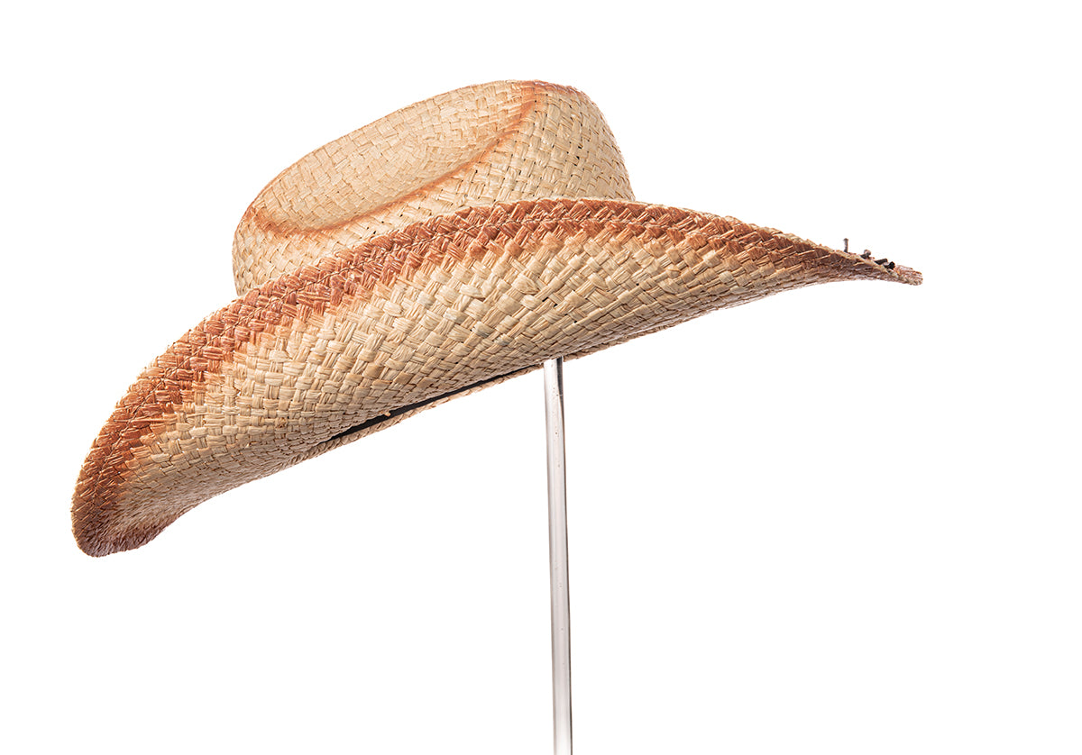 Alamo Summer