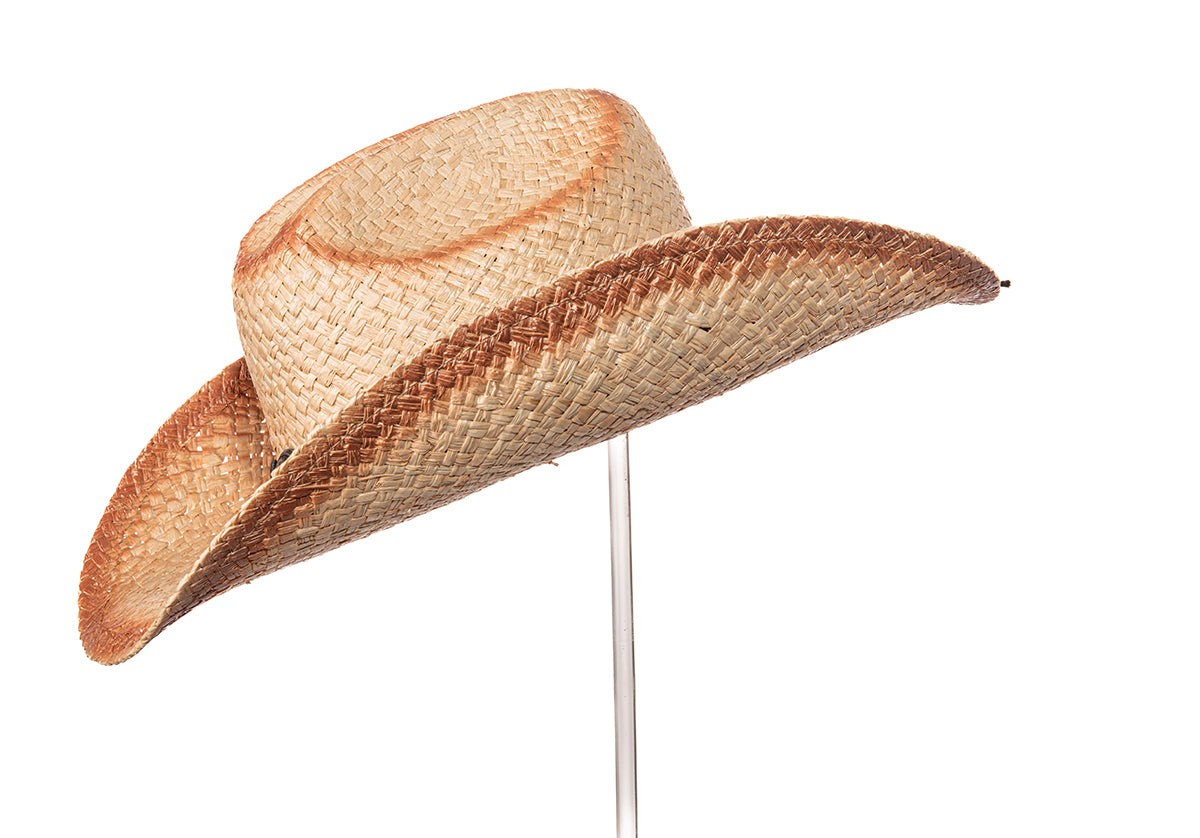 Alamo Summer
