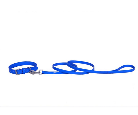 Hundeleine  und Halsband "Ocean Blue"
