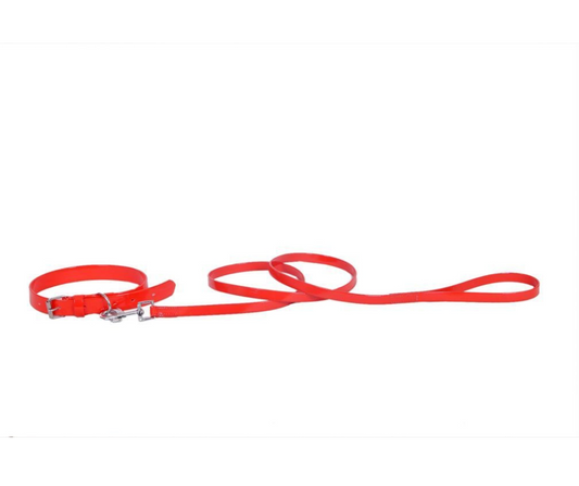 Hundeleine und Halsband  "Fire Red"
