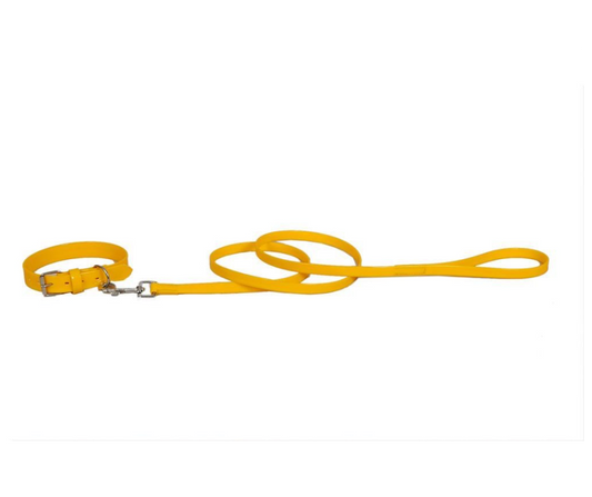 Hundeleine und Halsband "Sunny Yellow"